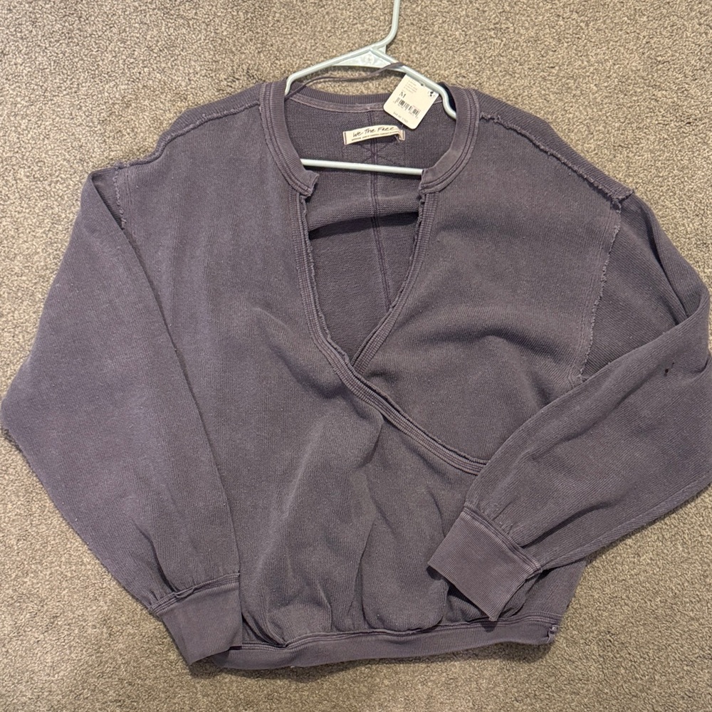 Free People V-Neck Sweater in Deep Purple